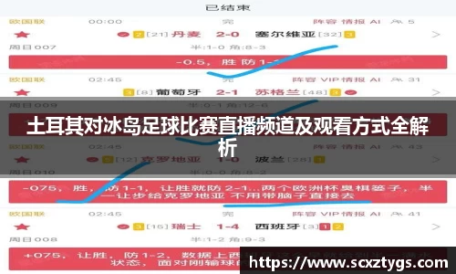 土耳其对冰岛足球比赛直播频道及观看方式全解析