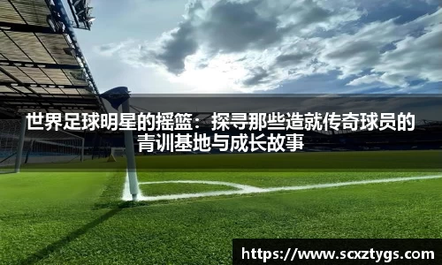 365WM完美体育官方app