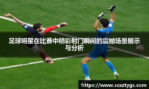 365WM完美体育官网