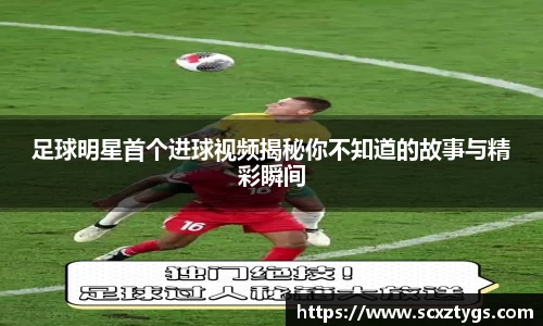 365WM完美体育官网