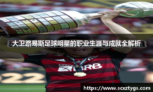 大卫路易斯足球明星的职业生涯与成就全解析