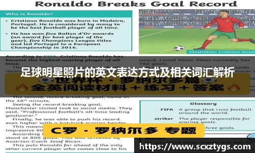 365WM完美体育官网